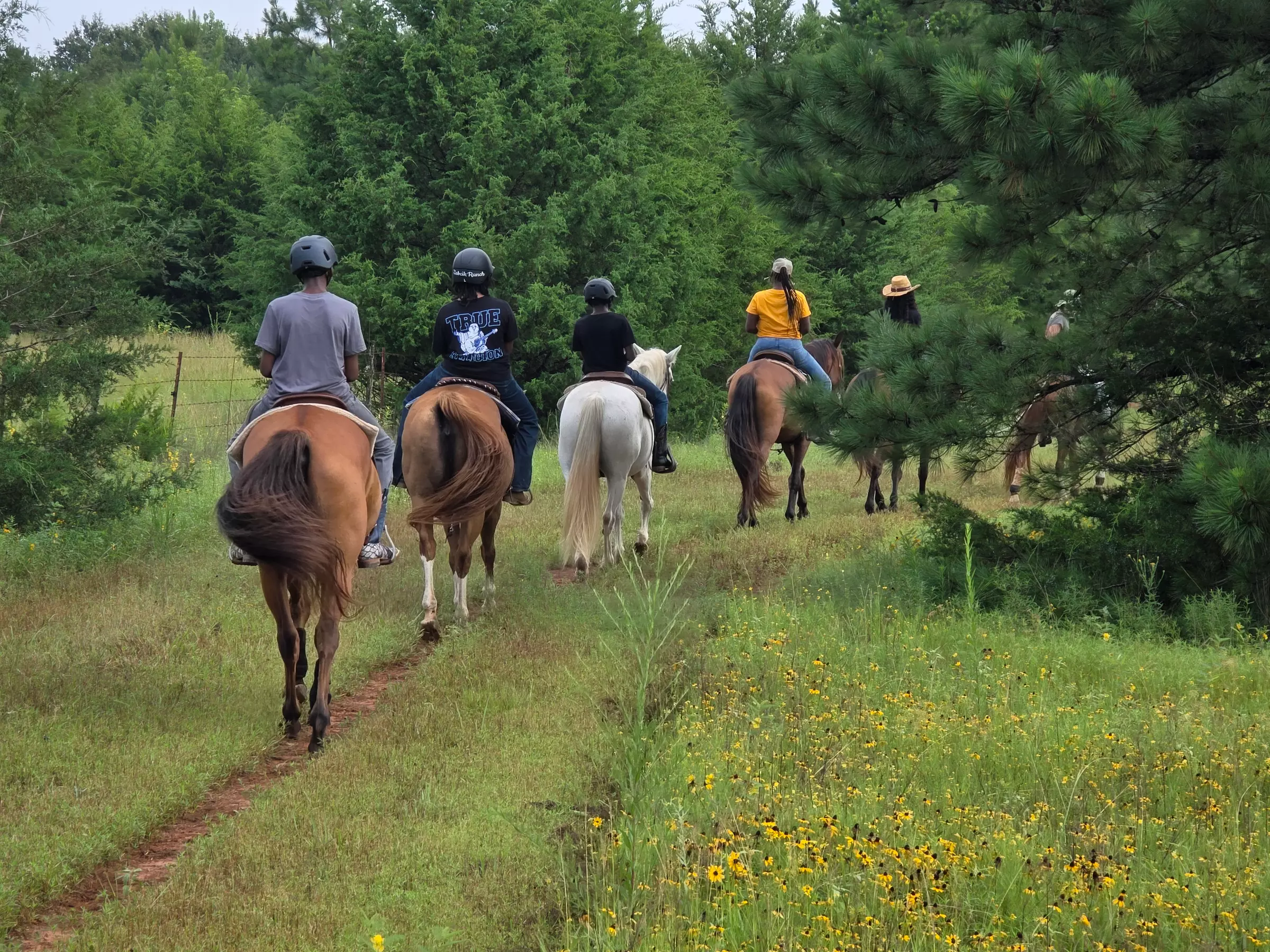 Group Horseback Trail Rides for 3–7 Riders in Nature’s Beauty