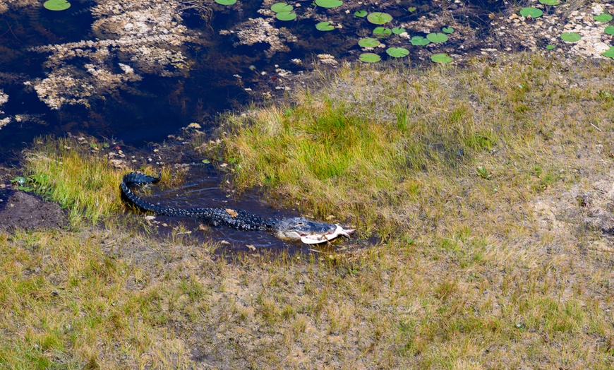 Image 6: Up to $116 Off on Helicopter Rides in South Florida 