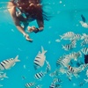 Image 9: Up to 40% Off Turtle Canyon Snorkel Sail – Waikiki Adventure