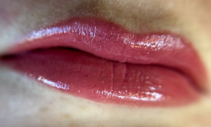 Image 3: Transform your Look with Brows and Lip Blush Technique! 