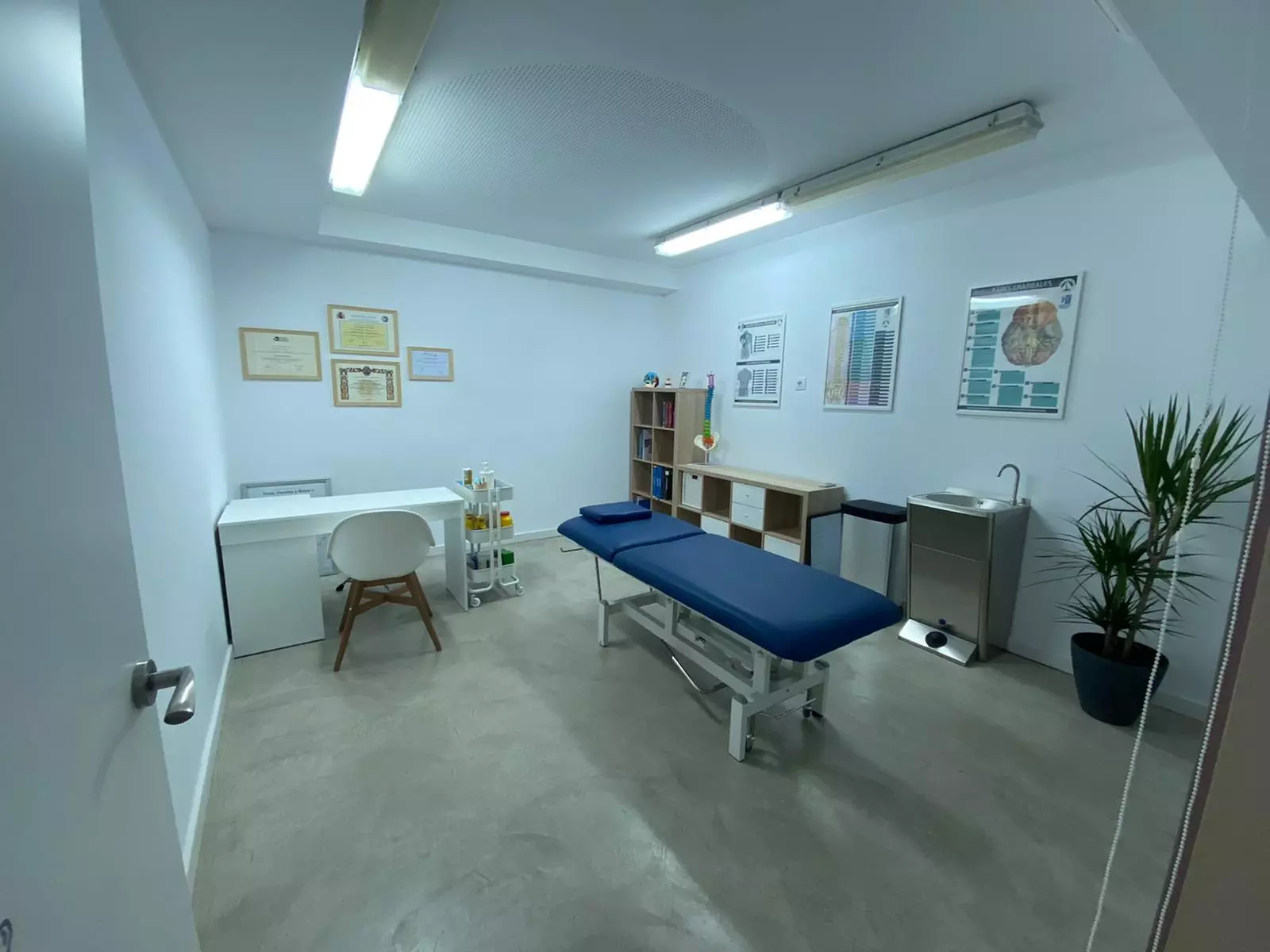 Recupera tu movilidad con 1 sesión personalizada de fisioterapia