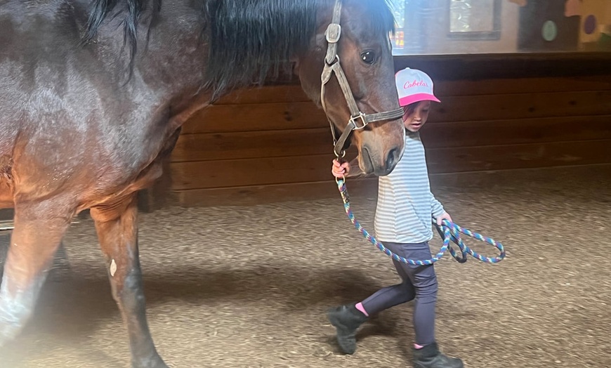 Image 4: Horseback Riding Lessons for Solo Riders, Families and Groups