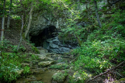 Hall of Adullam Express for 1 Person (3 Hours) - Tenn Tours