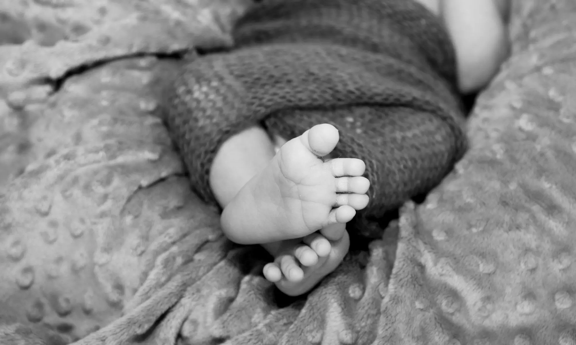 Capture the Magic: 25, or 30-Minute Photography Maternity, and More 