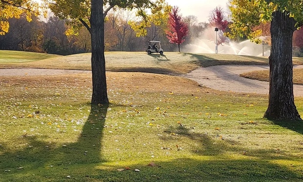 What to expect media