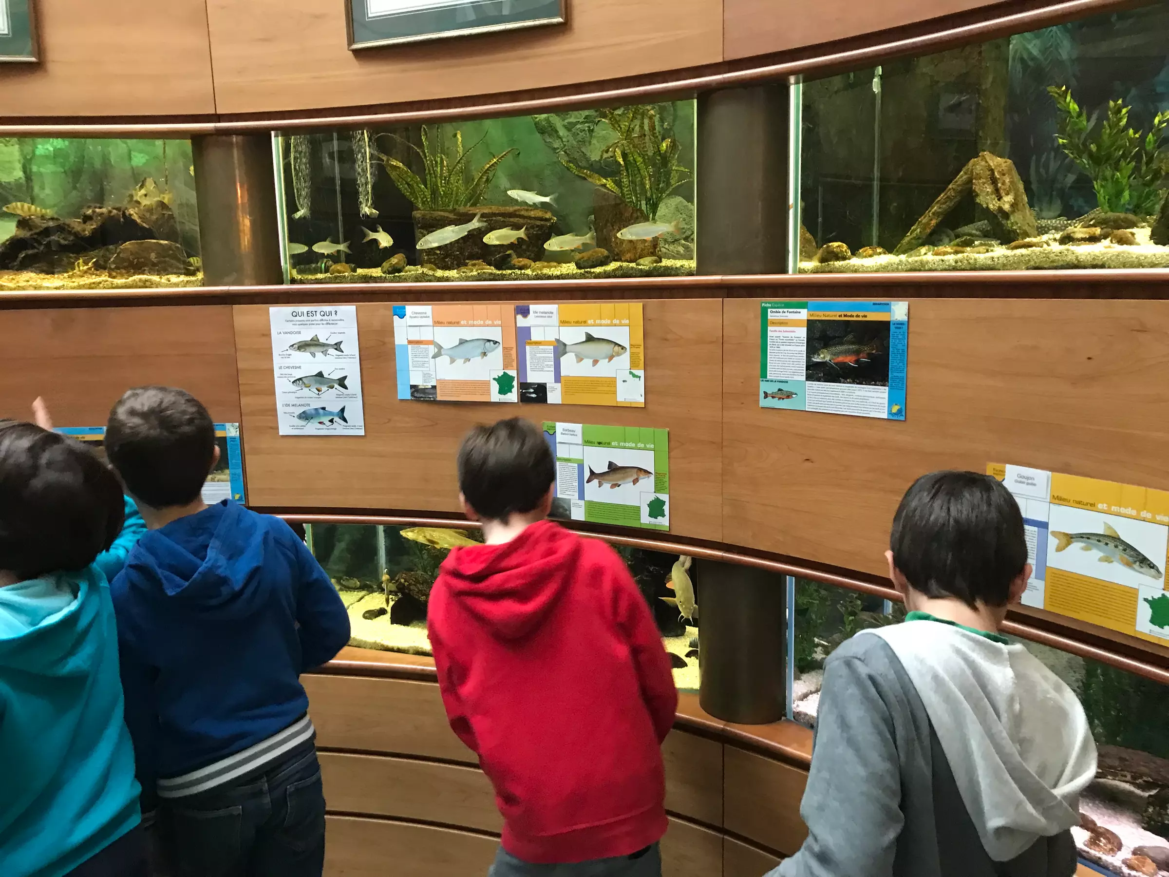 Entrée pour la Maison de la Pêche et de la Nature de Levallois