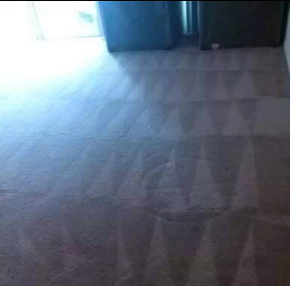 Up to 60% Off on Carpet Cleaning at Cee's Cleaning Group