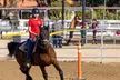 Experience 60-minute horseback riding lessons at Providence Heart Ranch, tailored for all ages with up to 35% off. - Second Medium