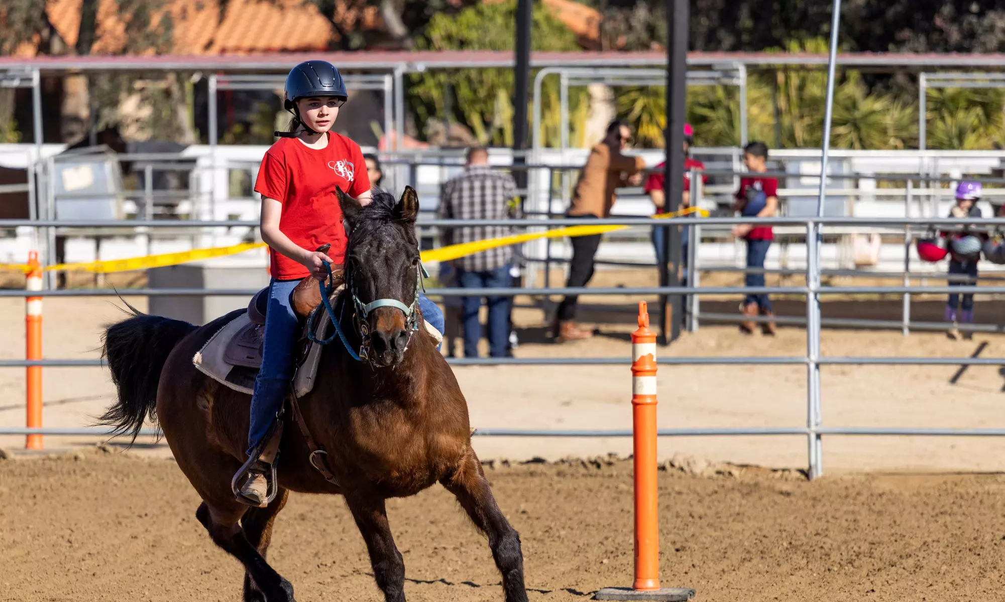Horseback Riding Lesson: Fun 60-Minute Training for All Ages