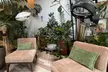 Shann Christen Studio Salon: Consultation & Microscopic Analysis with Vouchers - Treatment Plan (Up to 67% Off) - Second Medium