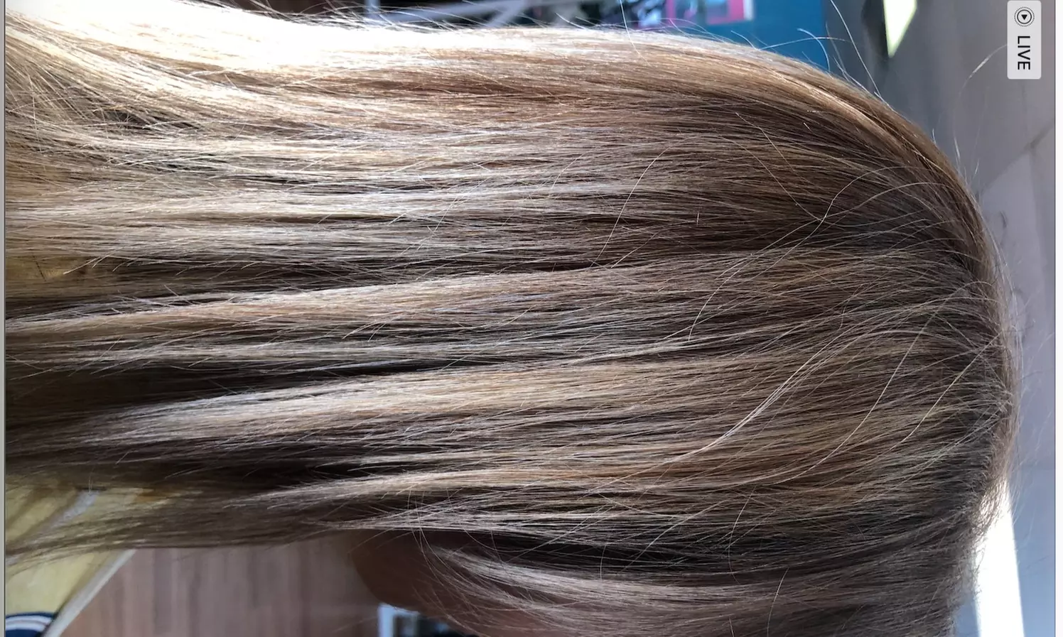 Get a Fresh New Look with Color, Haircut, and more!