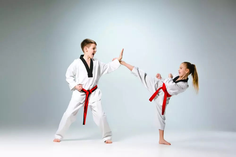 Up to 64% Off on Martial Arts / Karate / MMA at Park's World Taekwondo - Primary Image