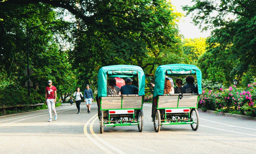 Image 8: Guided Central Park Tour in an Eco-Friendly Pedicab w/ Photo Stops