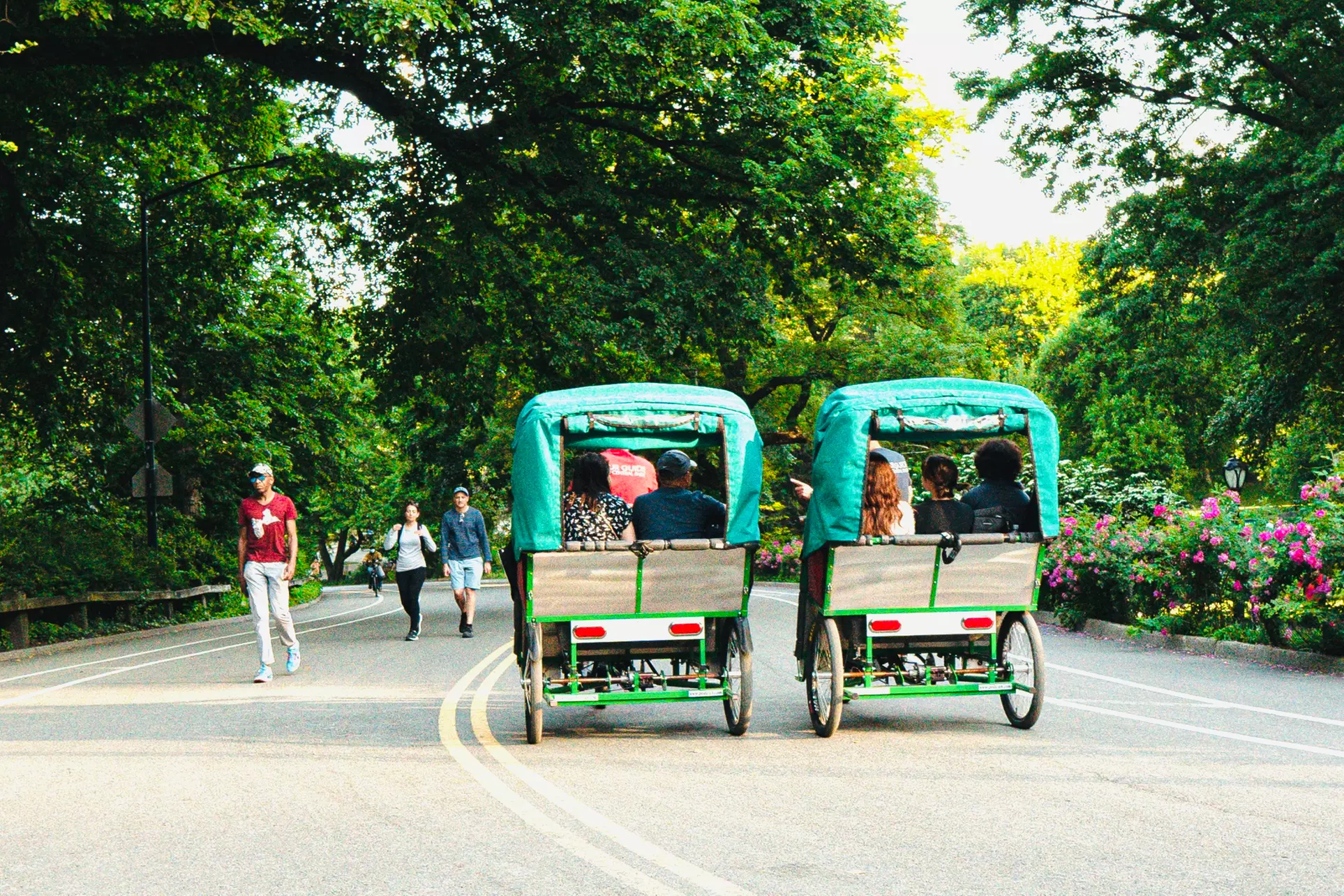 Guided Central Park Tour in an Eco-Friendly Pedicab w/ Photo Stops