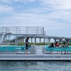 Image 1: 30-Foot Pontoon Rentals with Double Rear Slides