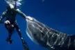 Thrilling Open-Water Shark Dive Tour for One, Two, or Six People at VIP Tours and Activities (Up to 25% Off) - Second Medium