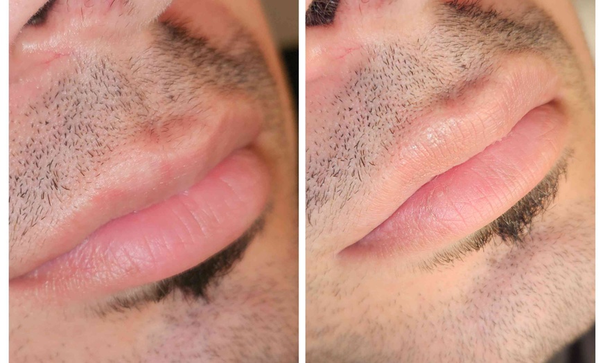 Image 5: Explore Permanent Lip Color 