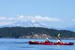 Discover Nature with Three-Hour Point Doughty Kayak Tour at Orcas Wild (Up to 24% Off) - Second Medium