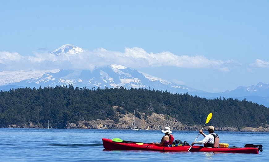 Image 2: Discover Nature with Three-Hour Point Doughty Kayak Tour at Orcas Wild (Up to 24% Off)