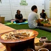Image 2: Be Part of Vinyasa Yoga & Kava Ceremony at Santa Monica