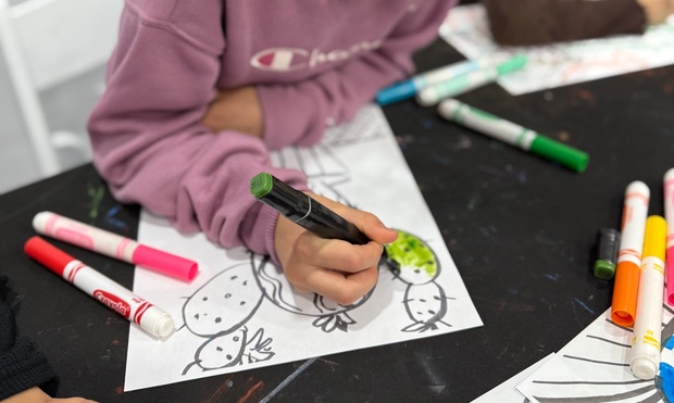 What to expect media