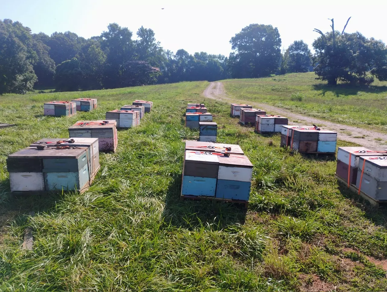 Enjoy Hive Tour, Farm Immersion, and Vineyard Walk