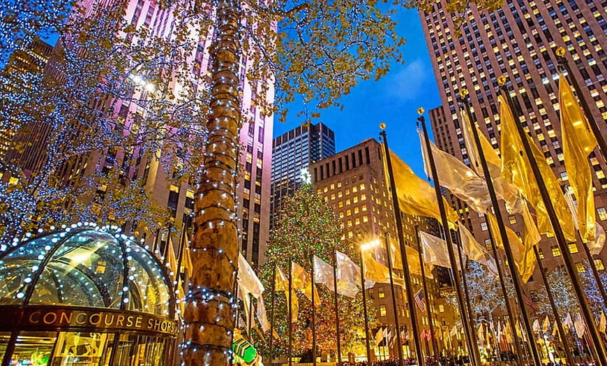 Image 5: Experience NYC's Iconic Spots on a Private Horse Carriage Ride 