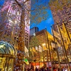 Image 5: Experience NYC's Iconic Spots on a Private Horse Carriage Ride 