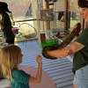 Image 7: Zookeeper for a Day Experience – Sunset Wildlife Connection Florida