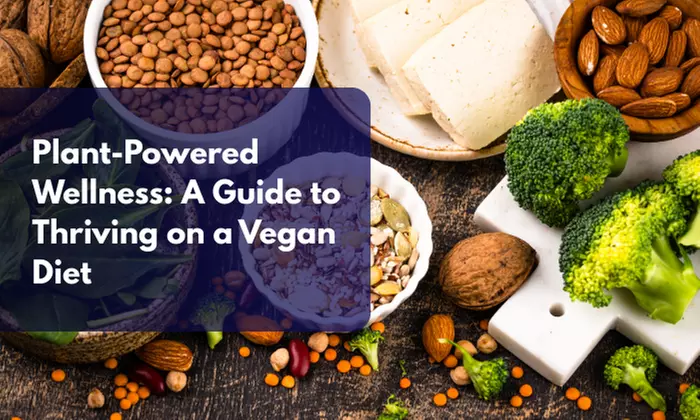 Compete High: Plant-Powered Wellness: A Guide to Thriving on a Vegan Diet (Up to 40% Off)