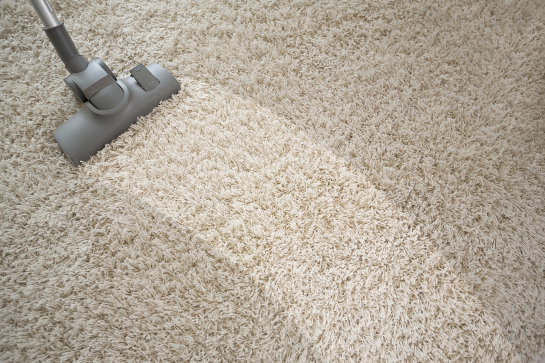 Professional carpet cleaning for multiple rooms or sofas