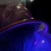 Image 3: Relax with Traditional Headspa with Optional Mini Facial Treatment