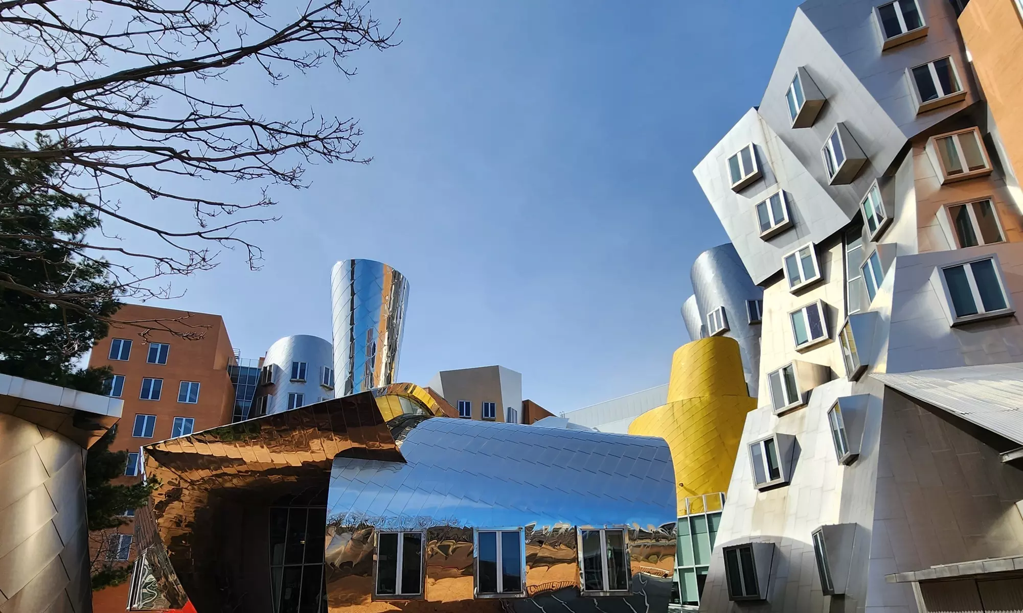 Discover with Walking tour of MIT & Harvard University for 1, 2 or 4