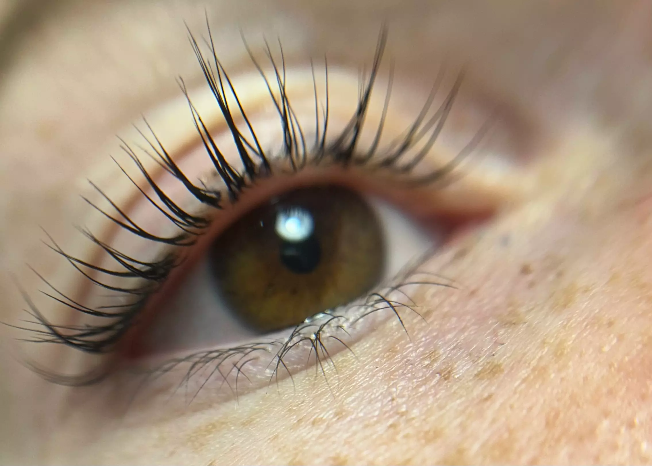 Jusqu'à 30% de remise sur Permanente cils chez El Beauty Women