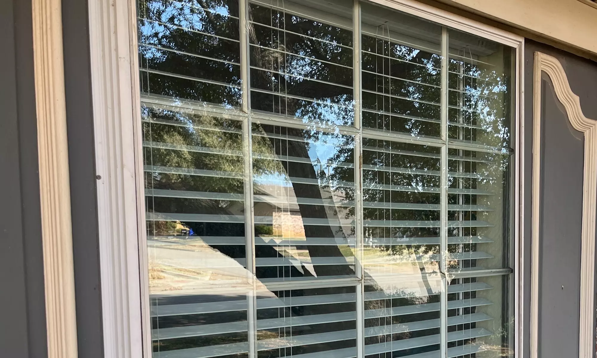 Get Up to 20 Windows Cleaned with Exterior Glass Service