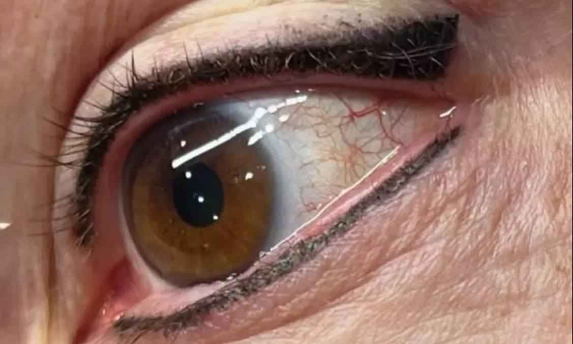 One Permanent Eyebrow, Eyeliner (Lash Line)/ Lip Blush Tattoo Session