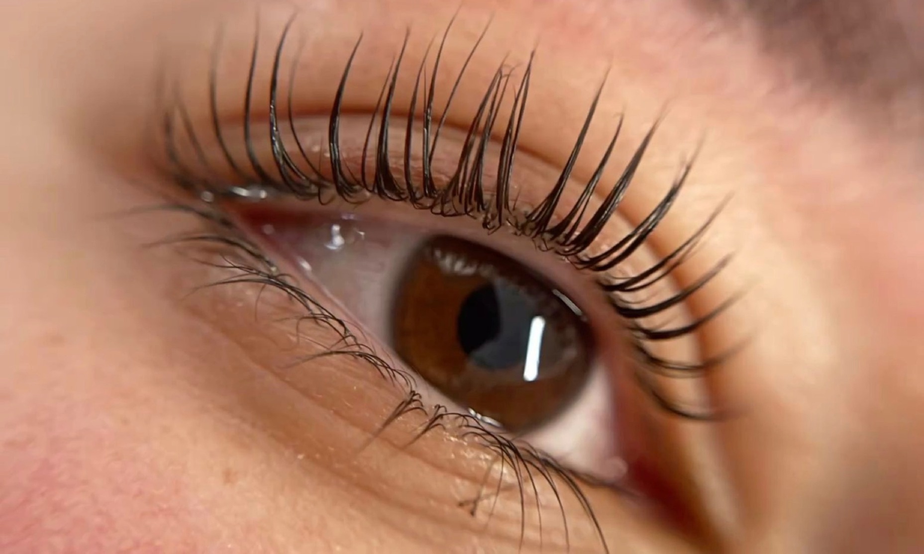 Korean Lash Lift and Tint Treatment