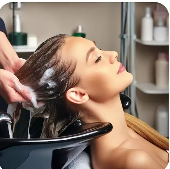 $39 for Shampoo Wash, Style Cut and Blow-Dry at Sheike Hair & Beauty (Up to $69 Value) - Primary Image