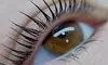 Get One Korean Silk Lash Lift w/ or w/o Tint at Leisure Day Spa (Up to 50% Off)
