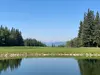 Up to 54% Off on Golf at The Hinton Golf Club