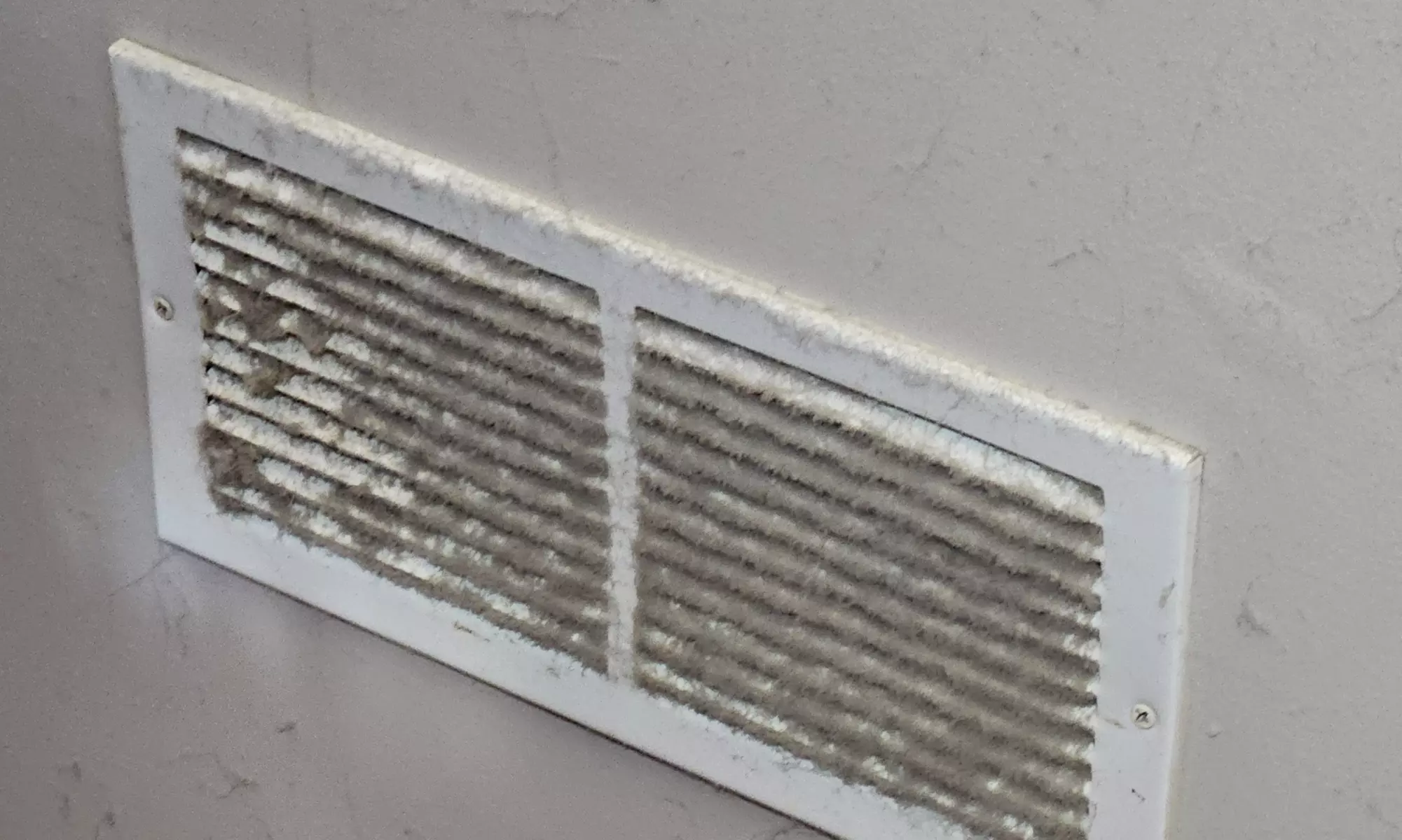 Chimney Cleaning, Inspection, Dryer Vent Cleaning Package, and More