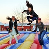 Image 7: Maize Quest: Giant Corn Maze & Fun Park Adventure
