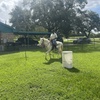 Image 5: Beginner Cowboy/Cowgirl Experience for Groups