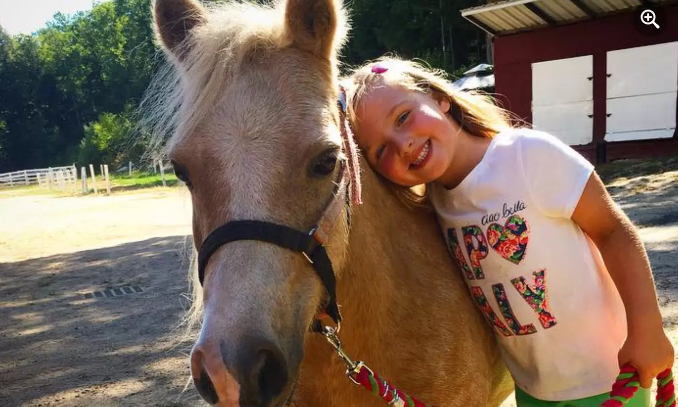 Up to 45% Off on Horse Back Riding at Chase Farms - Primary Image