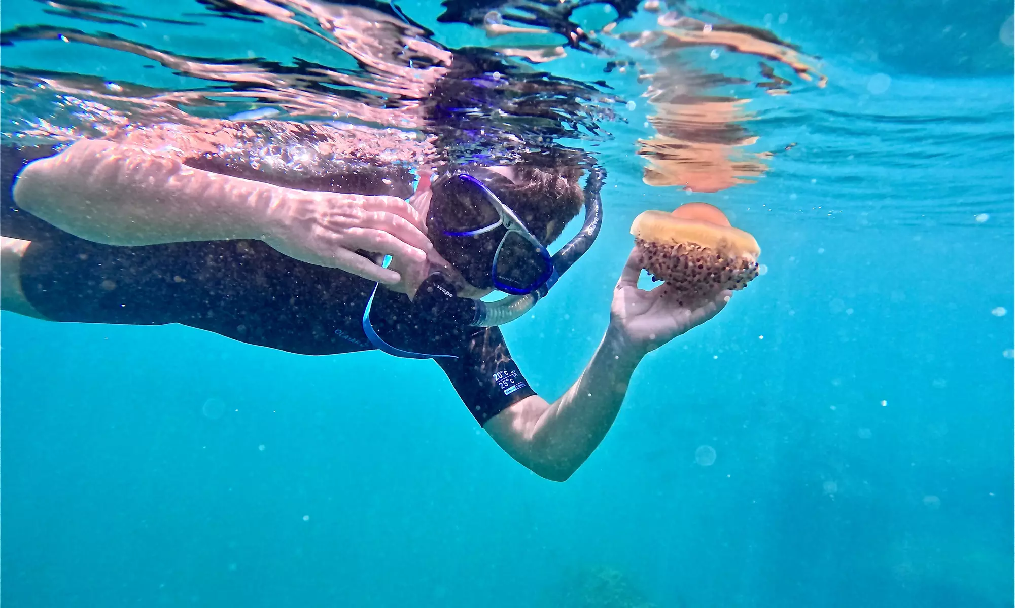 Experiencia de 2 horas de snorkel para 1 a 4 personas