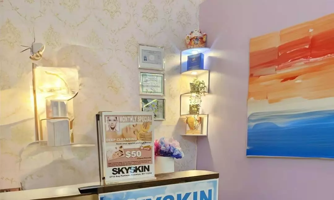 Up to 63% Off on Facial - Chosen by Customer at SKYSKIN INC