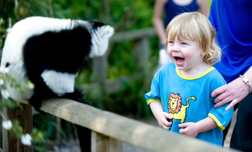 Image 9: 44% Off on Animal Adoption and Entry to Howletts Wild Animal Park