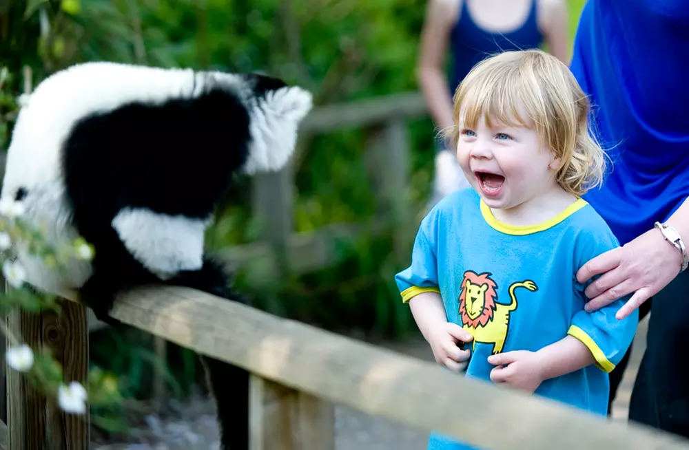 44% Off Digital Animal Adoption and Entry to Howletts Wild Animal Park