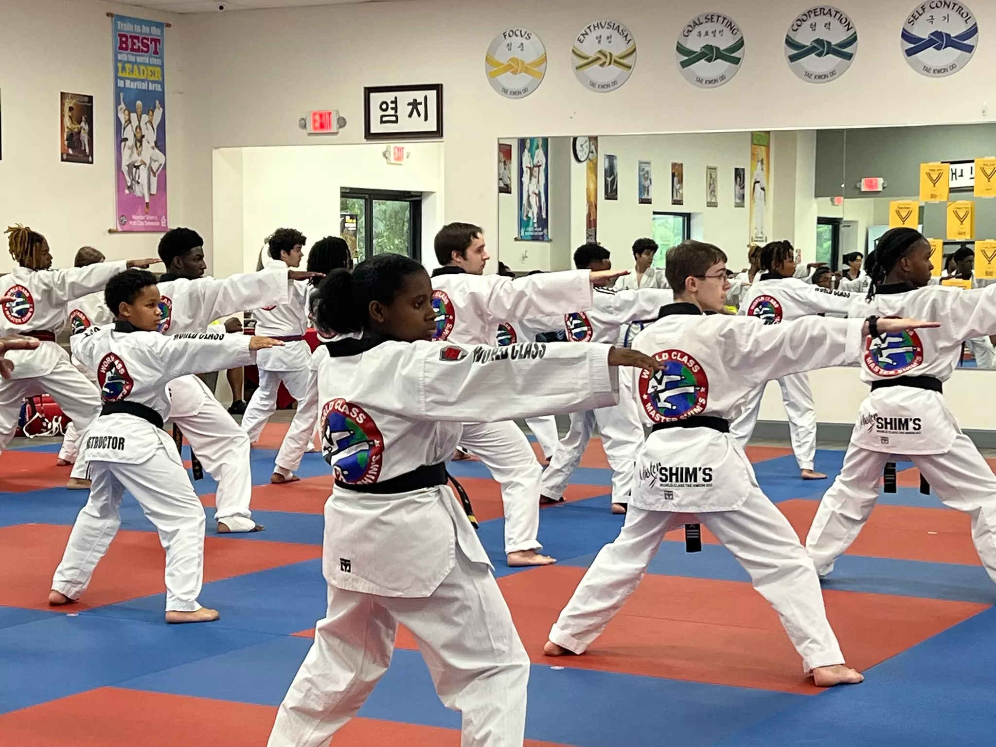 Master Shim's World Class Tae Kwon Do's Two or Four Weeks of Martial Arts Classes with a Uniform (Up to 50% Off) - Primary Image
