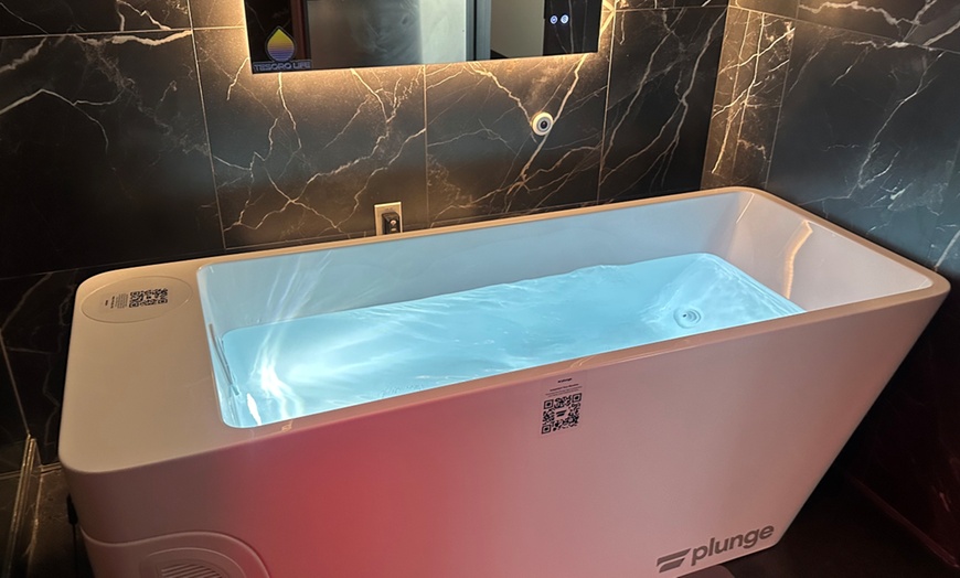 Image 2: Cold Plunge, Infrared Sauna & Red Light Therapy Sessions